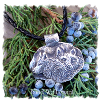 2008JanAd16Pic4
